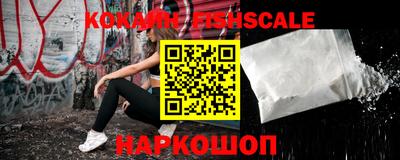 гашик Кимры