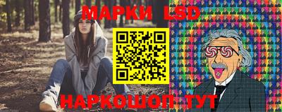 спиды Кинель