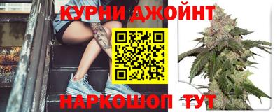 гашик Кимры