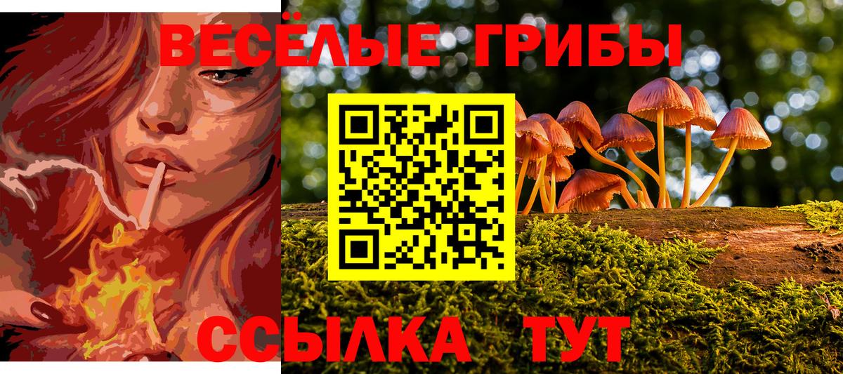 продажа наркотиков  Псилоцибиновые грибы MAGIC MUSHROOMS  Псилоцибиновые грибы GOLDEN TEACHER  Вход с VPN  Заречный 